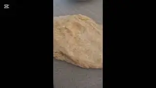 Brioscia cu  tuppo  con il pre- impasto 