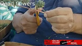 rrcs 2025 09 17