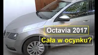 Skoda Octavia 2017 | Czy jest cała w ocynku? | Prodig tech
