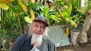 Nario Libron Kupuna from Kohala