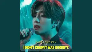The Words You Never Said