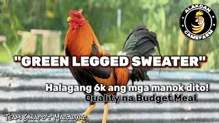 GREEN LEGGED SWEATER 