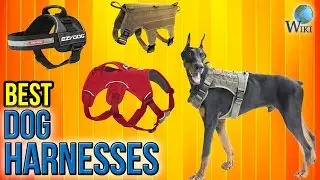 9 Best Dog Harnesses 2017