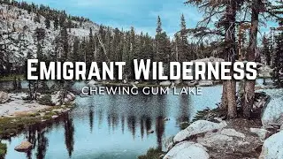 Chewing Gum Lake Backpacking | Emigrant Wilderness | Stanislaus National Forest EP 7