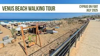Venus Beach Walking Tour