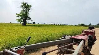 Travelling by mini tractor across farm field for transportation of agriculture 4K #870 - CAM FARM