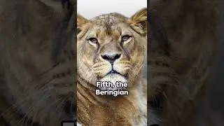 6 Most Powerful Extinct Lion Species