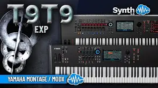 T9T9 EXP COVER PACK (22 new sounds) | TOTO SOUND BANK | YAMAHA MONTAGE M MODX PLUS | LIBRARY