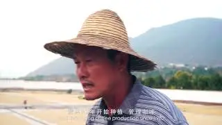 Behind A Coffee Bean - Yunnan Coffee Tour  咖豆尋蹤&mdash;&mdash;雲南咖啡之旅