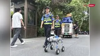 Mbwa Roboti Wa Polisi Waanza Doria Mitaani Nchini China! 🇨🇳