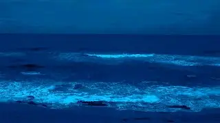 🌊 Tranquil Breakers: Soothing Coastal Vibes for Night Relaxation | Waves Sounds for Sleeping