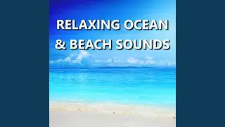 Charming Hawaii Ocean Sounds