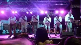 UNC NUPES Fall Fest 2013