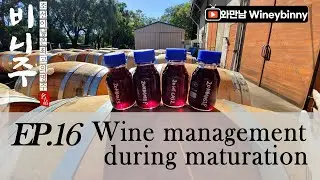 Ep.16 . Wine management during maturation - Sulfur management - make your wine
