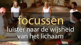 Livestream: Focussen - Leer luisteren naar de wijsheid van het lichaam