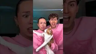 Zootopia 2 zoo music video 😘 Craze Finger Magic 😱 #zootopia2 #shortvideo #dance #music #trending