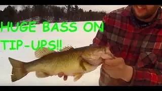 Ice fishing Wisconsin for Huge Bass, Pike, and Crappie 2016