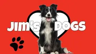 Jim's Dog Wash and Grooming | 131 546 | New South Wales