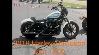 2019 Harley-Davidson Iron 1200 First Ride