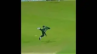 What a catch by Shaddy #cricket #wicket #iplbowling  #cricketinsights