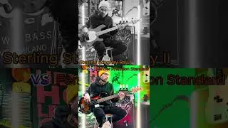🎸 Bass Battle! Sterling StingRay Ray 2 vs. Fender Precision 🎶 #bassguitar #bassplayer #bassist