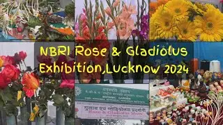 NBRI Rose & Gladiolus Flower Show Lucknow 2024 #flowerexhibition  #gladiolus #rose #flowershow