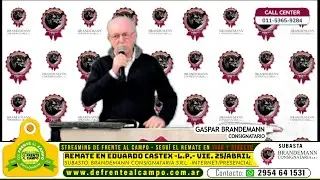 GASPAR PACHO BRANDEMAN - Remate de BRANDEMANN CONSIGNATARIA - Vie. 25/Junio/2025. Edo. Castex -L.P.-