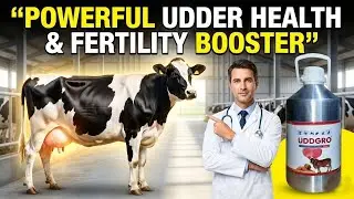 UDGRO LIQUID | Best Udder Health & Reproductive Tonic for Cattle & Poultry | #akharvzoocare #vet