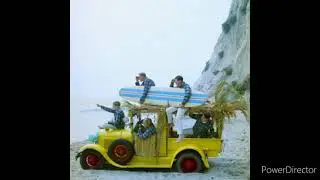 Beach Boys Good Vibrations