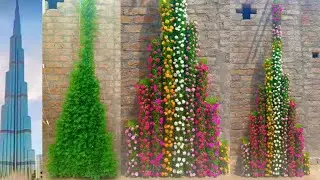 Beautiful Burj-Khalifa Moss Rose flower pot for home decoration, Cheap home decoration