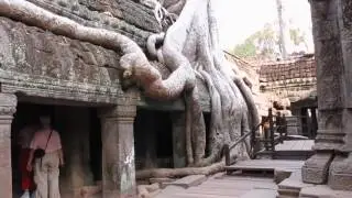 Ta Prohm  - Tomb Raider Temple in Cambodia