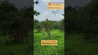 KARJAT 6 Acre Mango wadi for sale . 23 km from station. MOUNTAIN & VALLEY VIEW 📱 9773181911