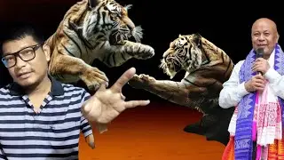 Bodoland Tiger is Back Vs Tiger is Back || BPF  Vs Bodoland Tiger 