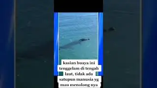 mohon bantuannya guys #post #kabar #updateterkini #News #tribun #shortvideo