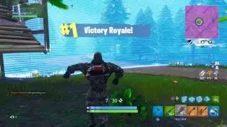 Fortnite Battle Royal - Victory No.7, Slow Burning Win