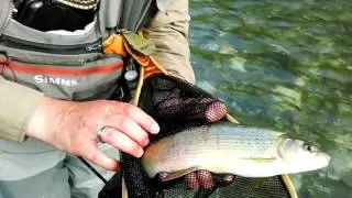 Fly Fishing Montenegro