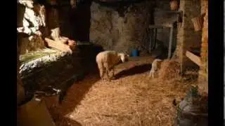 Gruppo Folk 