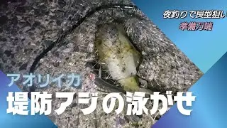 【あれば役立つ】アイテム紹介～実釣～評価。