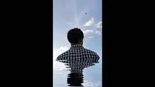 SIMPLY PETE - THE ONE FOR YOU