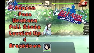 Retsu Unohana Season Pass Full Build & Breakdown Bleach Immortal Soul External