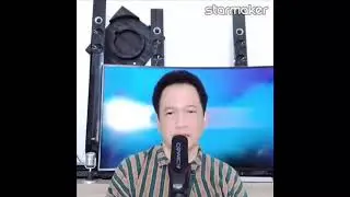 PamerBojo