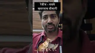 रेबीज - चूहे ने काट लिया क्या करें