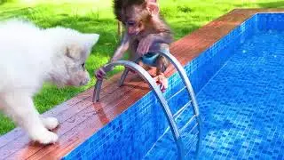 BEBE SINGE A LA PISCINE 🙊🙈😻😻😻