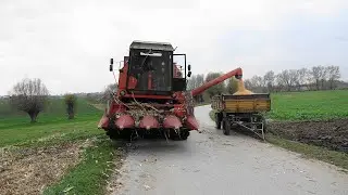 Bizon Rekord Z058 || Kukurydza na ziarno 2020 || odc.43 ||