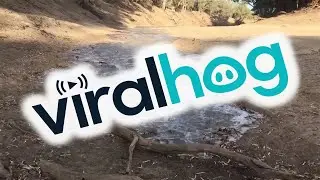 Floodwaters Finally Bring Flows to Darling River || ViralHog