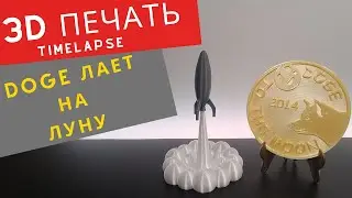 3D Печать монеты Dogecoin. Криптовалюта Dogecoin. Doge Лает на Луну