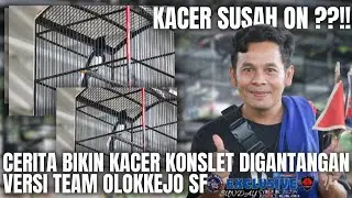 TIPS KACER KONSLET !!KACER BRAJA MILIK MR ENYU AUTO KEJANG GARA GARA INI !!!