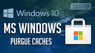 MS Windows Store Purge Caches App Didn't Start FIX