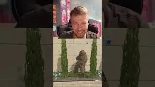 Шикарный БАЙТ в Warzone