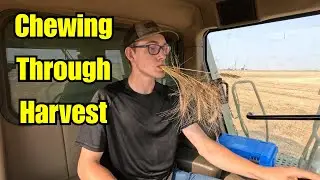 Finishing Winter Wheat with Drone View (I Spilled)